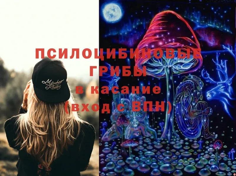 Галлюциногенные грибы Psilocybe  Тарко-Сале 